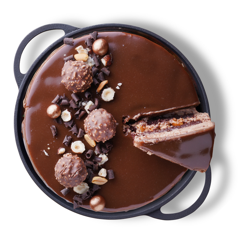 Desert Tort Rocher - 1